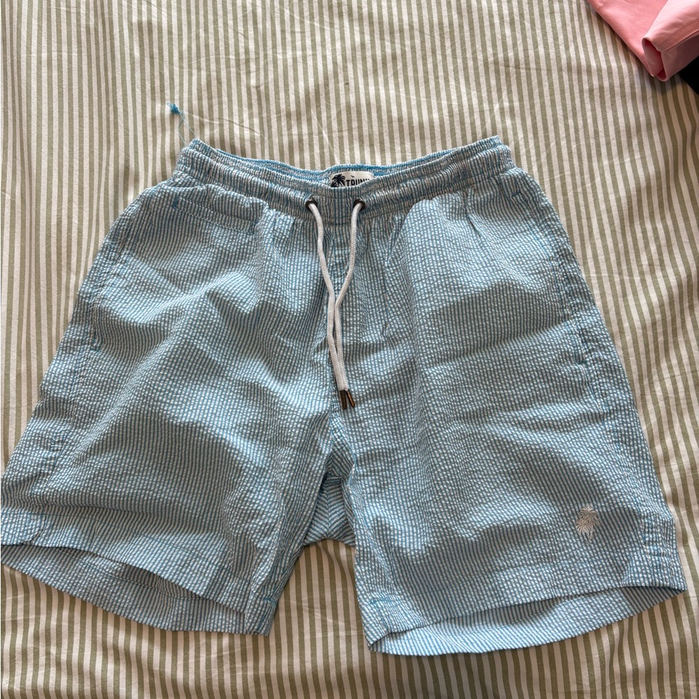 Light Blue Men's Swim Shorts